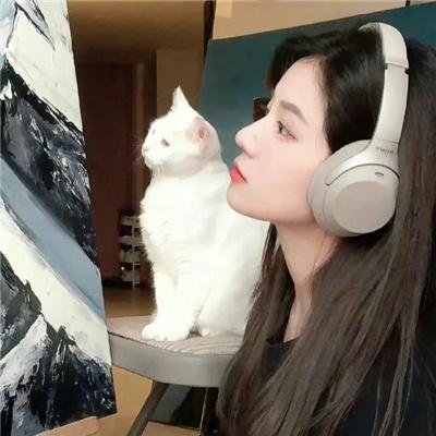 连环恋爱 封面